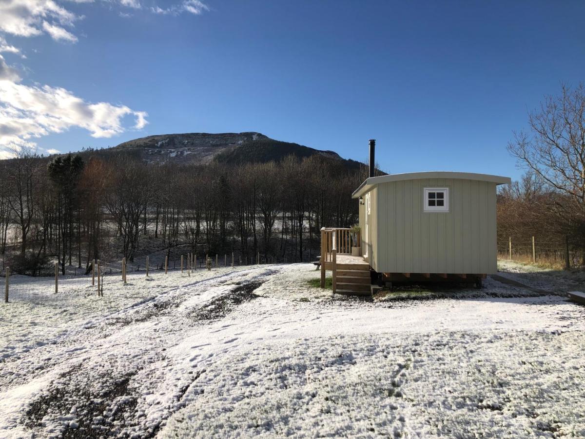 Rosemary Shepherds Hut, Clay Bank Huts Ingleby Greenhow Exterior photo